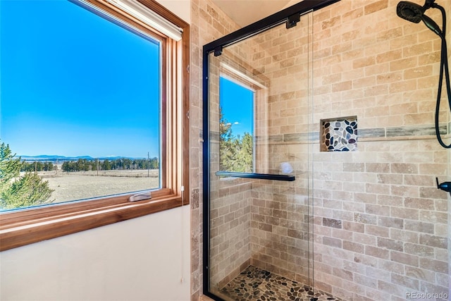16 Thurber Ct, Fairplay, CO 80440 - full bath featuring a wealth of natural light and a shower stall