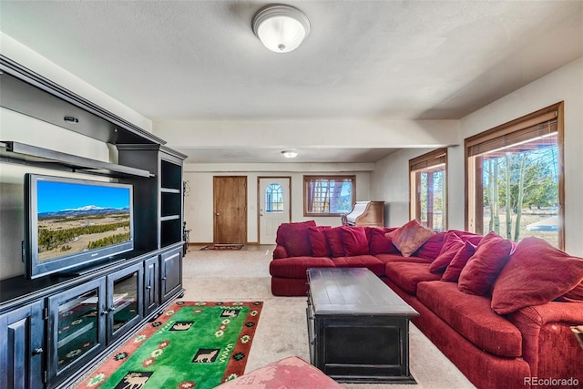 16 Thurber Ct, Fairplay, CO 80440 - living area with a wealth of natural light and light carpet