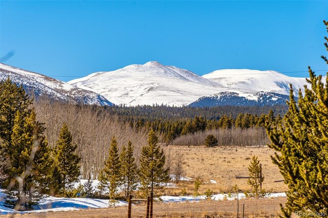 16 Thurber Ct, Fairplay, CO 80440 - property view of mountains with a wooded view