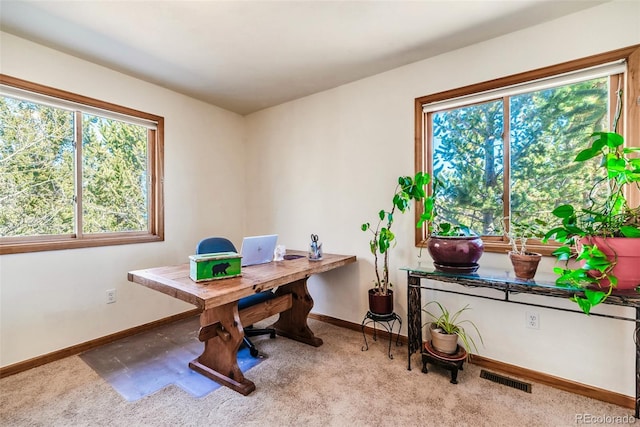 16 Thurber Ct, Fairplay, CO 80440 - carpeted home office featuring baseboards and visible vents