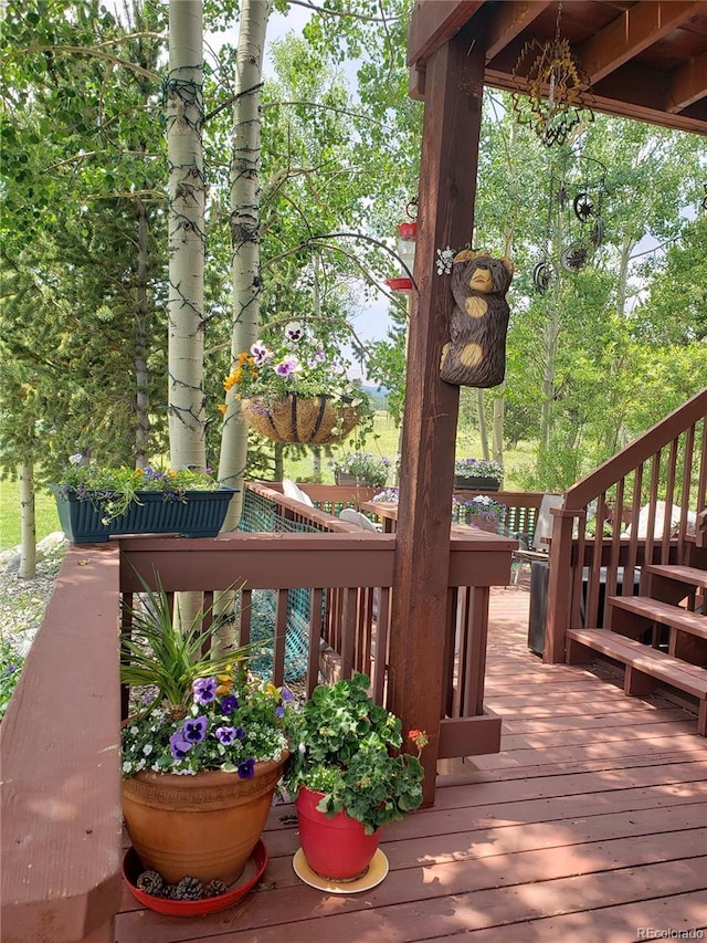 16 Thurber Ct, Fairplay, CO 80440 - view of wooden terrace