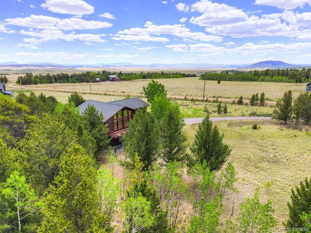 16 Thurber Ct, Fairplay, CO 80440 - photo 3