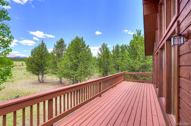 16 Thurber Ct, Fairplay, CO 80440 - photo 40