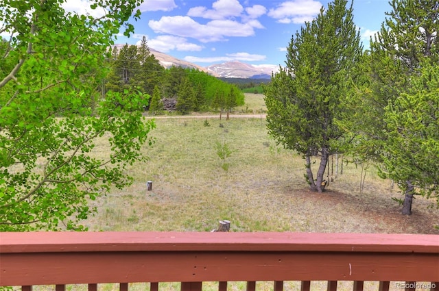 16 Thurber Ct, Fairplay, CO 80440 - photo 41