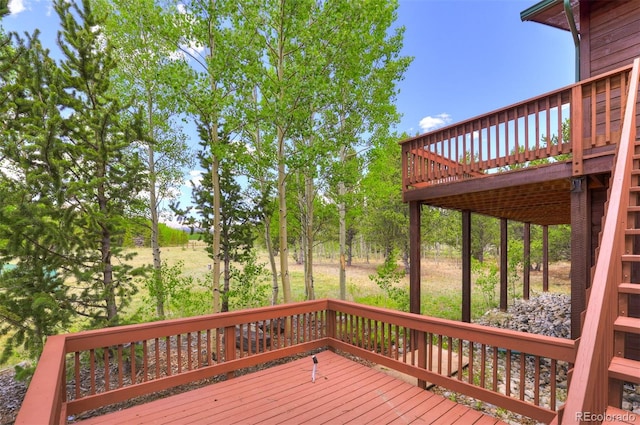 16 Thurber Ct, Fairplay, CO 80440 - photo 44