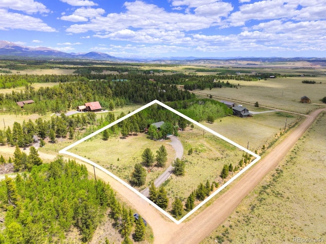 16 Thurber Ct, Fairplay, CO 80440 - photo 45
