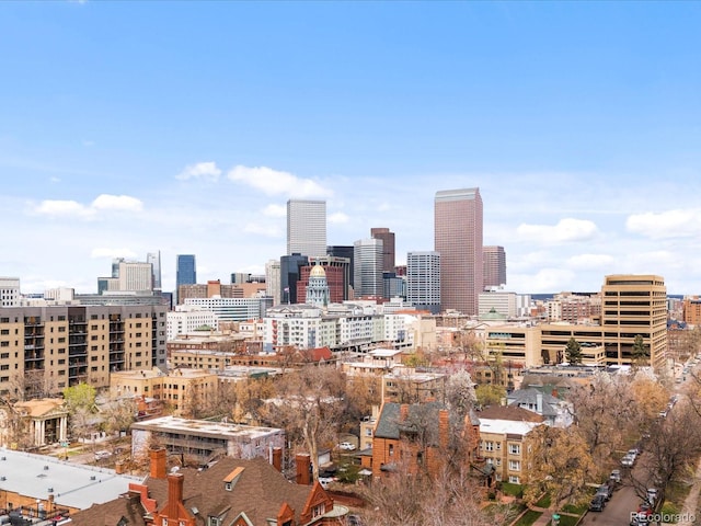 1130 N N Pennsylvania St Unit 306, Denver, CO 80203 - view of city skyline