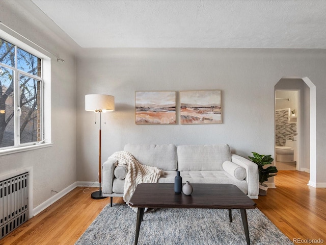 1130 N N Pennsylvania St Unit 306, Denver, CO 80203 - living room featuring wood finished floors, radiator heating unit, and arched walkways