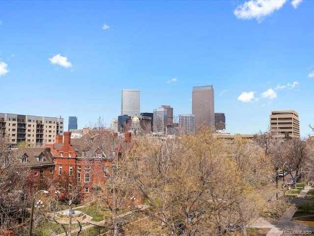 1130 N N Pennsylvania St Unit 306, Denver, CO 80203 - view of city
