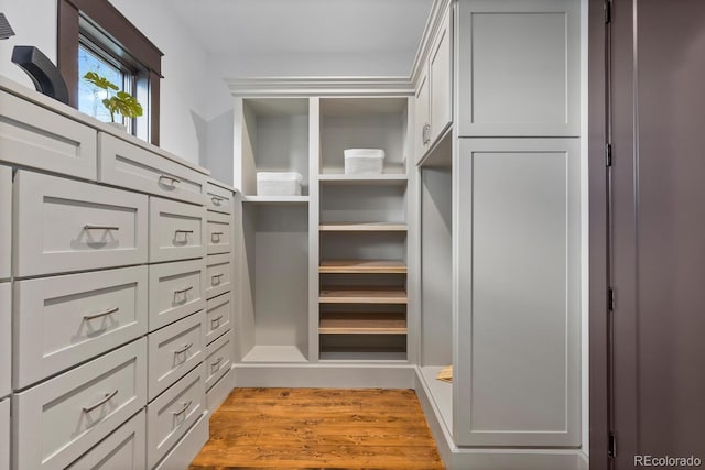 11790 Huckleberry Dr, Franktown, CO 80116 - spacious closet with light wood-type flooring