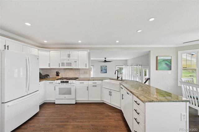 9385 Prairie View Dr, Highlands Ranch, CO 80126 - kitchen with white appliances, a peninsula, plenty of natural light, ornamental molding, and ceiling fan