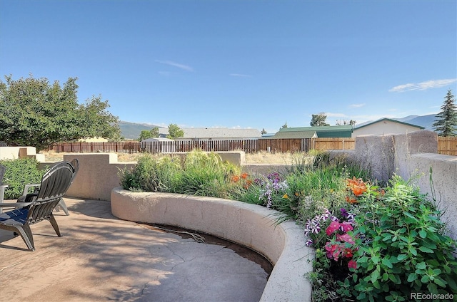 125 Raven Way, Buena Vista, CO 81211 - photo 25