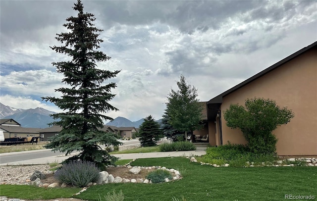 125 Raven Way, Buena Vista, CO 81211 - photo 33