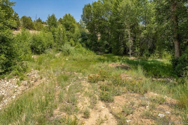 7920 Cozart Ln, Salida CO, 81201 land for sale