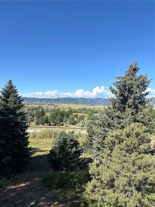 7293 W Lakeside Dr, Littleton, CO 80125 - photo 34