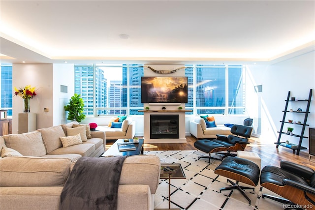 living room featuring light hardwood / wood-style flooring and a wealth of natural light