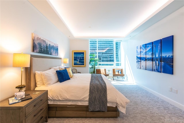 carpeted bedroom with a raised ceiling