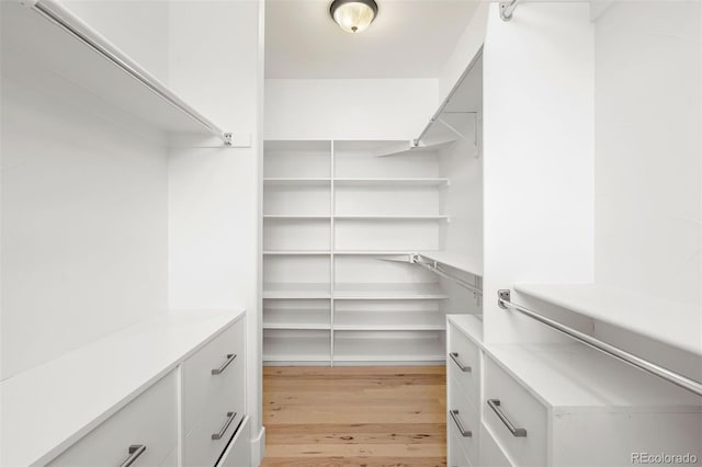 852 Pontiac St, Denver, CO 80220 - walk in closet with light wood-style floors