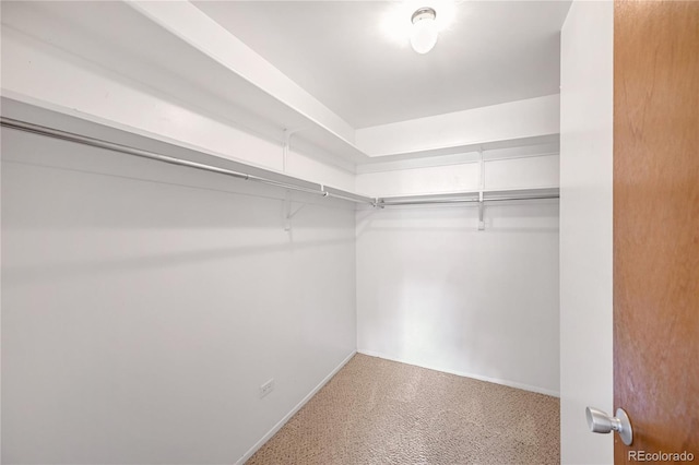 spacious closet with carpet