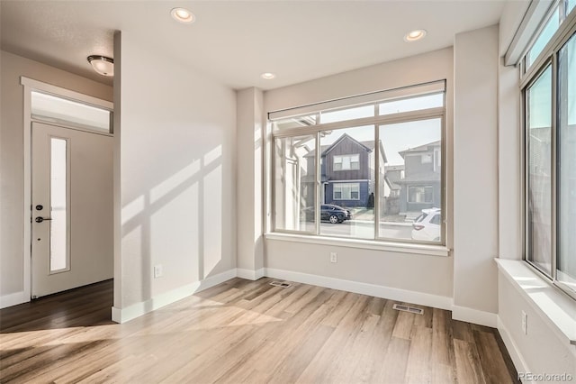 foyer featuring light wood-type flooring and a wealth of natural light