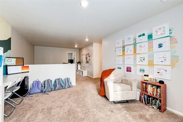 sitting room with carpet