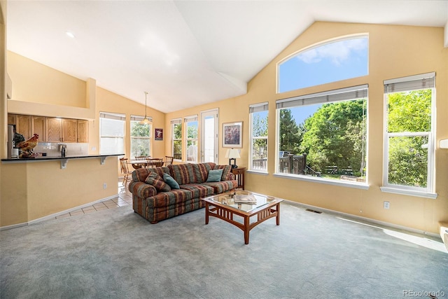 1010 Home Farm Cir, Denver, CO 80234 - living room with carpet floors and high vaulted ceiling