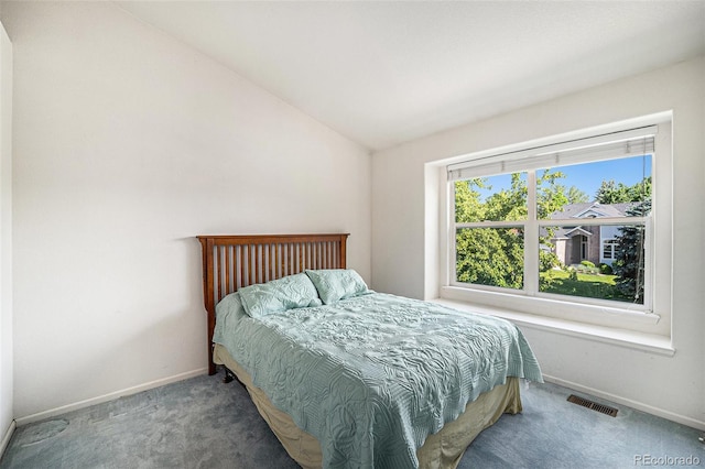 1010 Home Farm Cir, Denver, CO 80234 - bedroom with carpet floors and vaulted ceiling