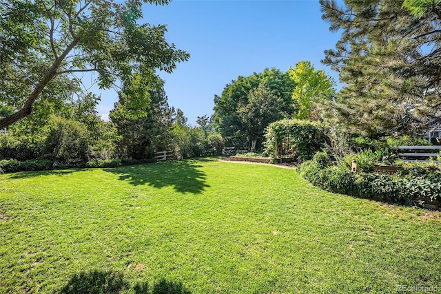 1010 Home Farm Cir, Denver, CO 80234 - view of grassy yard