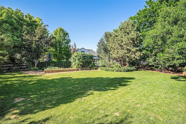 1010 Home Farm Cir, Denver, CO 80234 - view of green lawn with a vegetable garden