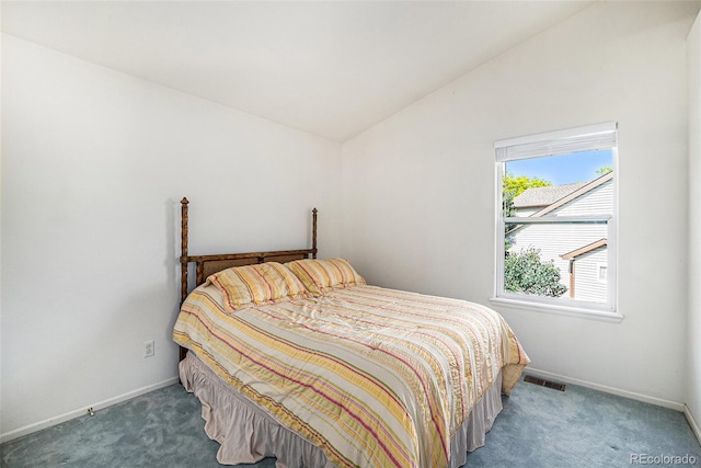 1010 Home Farm Cir, Denver, CO 80234 - bedroom featuring carpet floors and vaulted ceiling