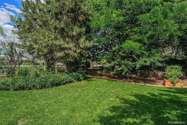 1010 Home Farm Cir, Denver, CO 80234 - view of grassy yard