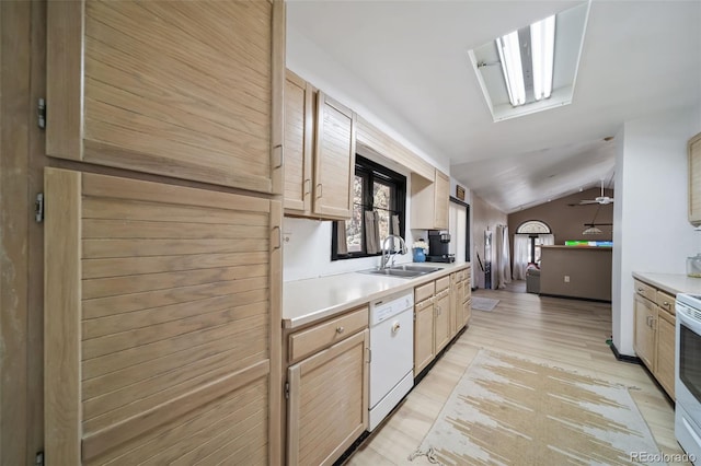 kitchen with white appliances, lofted ceiling with skylight, sink, light hardwood / wood-style flooring, and light brown cabinetry