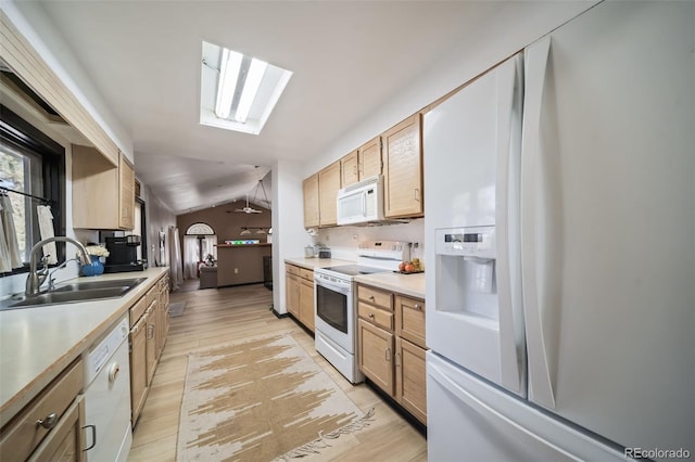 kitchen featuring vaulted ceiling with skylight, light hardwood / wood-style floors, white appliances, and sink