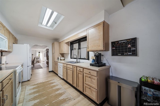 6101 S University Blvd, Centennial, CO 80121 - photo 20
