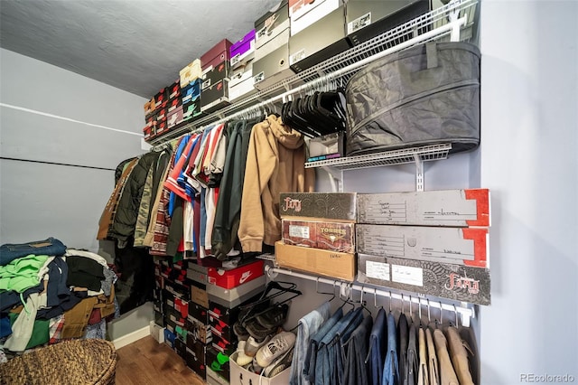 spacious closet with hardwood / wood-style floors