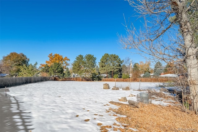 view of yard layered in snow