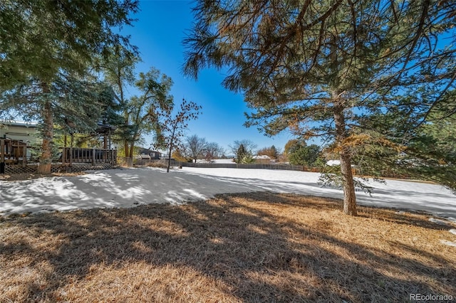 view of yard covered in snow