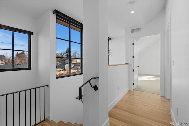 staircase with hardwood / wood-style floors