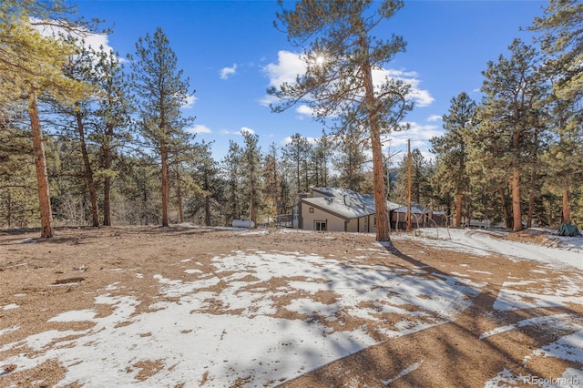177 Gray St, Bailey, CO 80421 - view of yard
