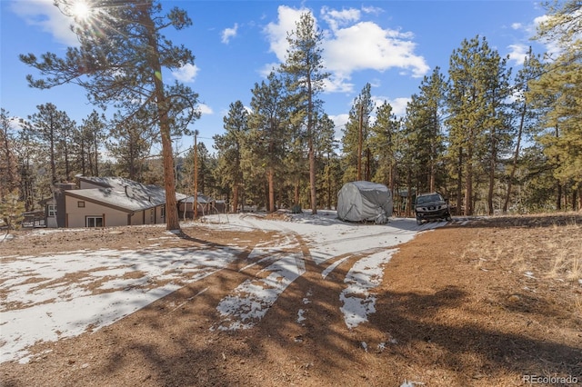 177 Gray St, Bailey, CO 80421 - view of yard