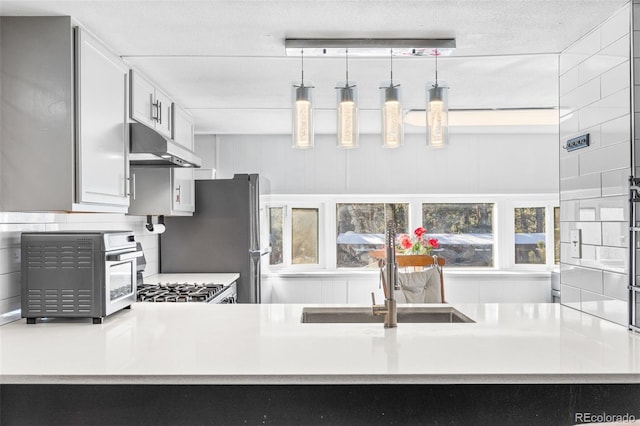 kitchen with a toaster, a healthy amount of sunlight, a sink, and under cabinet range hood