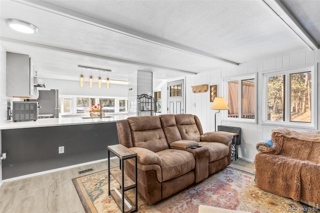 177 Gray St, Bailey, CO 80421 - living room featuring light wood-type flooring, beamed ceiling, plenty of natural light, and a textured ceiling