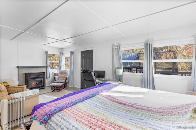 177 Gray St, Bailey, CO 80421 - bedroom featuring a glass covered fireplace