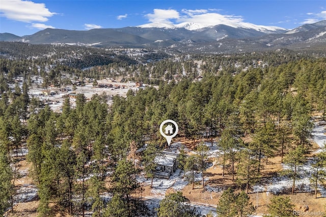 177 Gray St, Bailey, CO 80421 - view of mountain background with a heavily wooded area