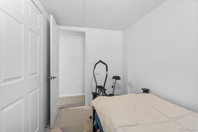 177 Gray St, Bailey, CO 80421 - bedroom featuring carpet flooring