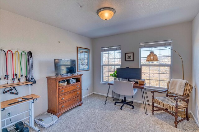 office featuring light carpet, baseboards, and a textured ceiling