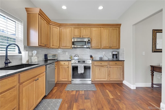 4822 Pathfinder Ct, Castle Rock, CO 80108 - photo 8