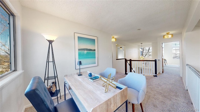 office space with light colored carpet and a textured ceiling