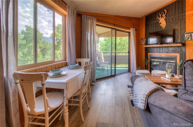 dining area with wood walls, plenty of natural light, a glass covered fireplace, and wood finished floors