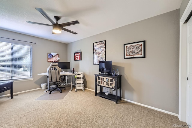 9264 Fox Fire Ln, Highlands Ranch, CO 80129 - photo 21
